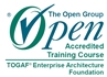 togaf_service-delivery-manager